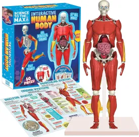 Interactive Human Body Toy
