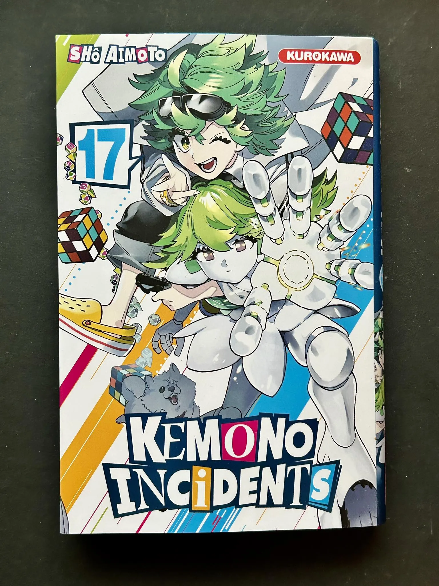 KEMONO INCIDENTS - TOME 17